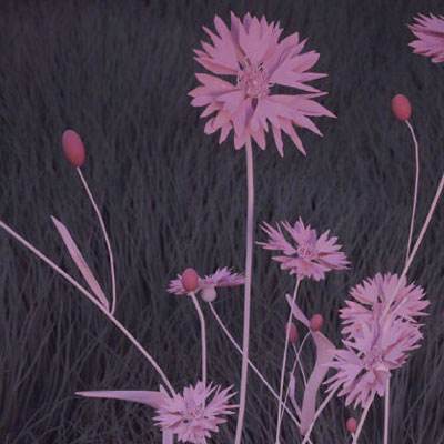 天天中彩票手机版登录截图